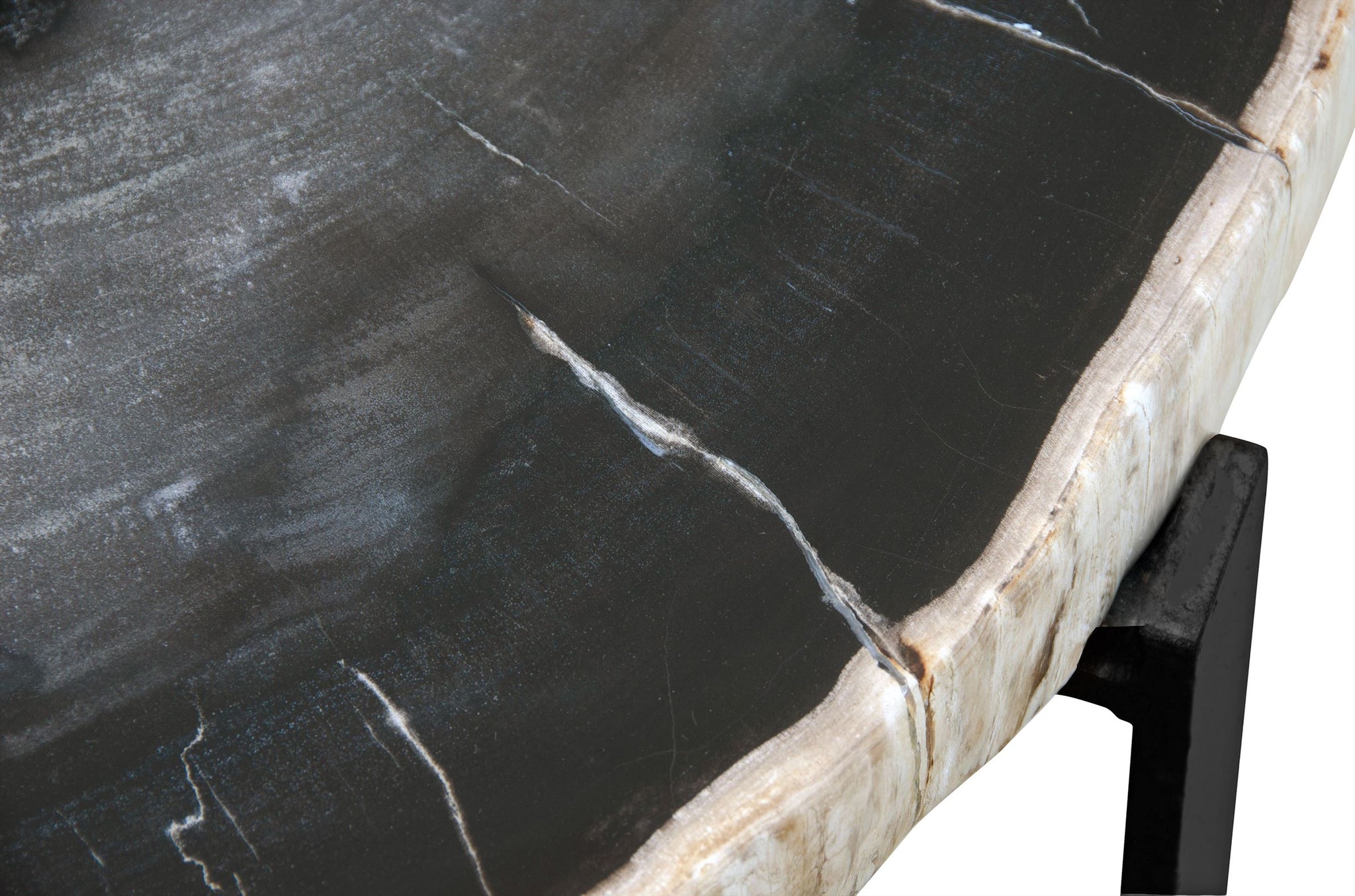 Design bijzettafel van miljoenen jaren oud versteend hout en zwart onderstel