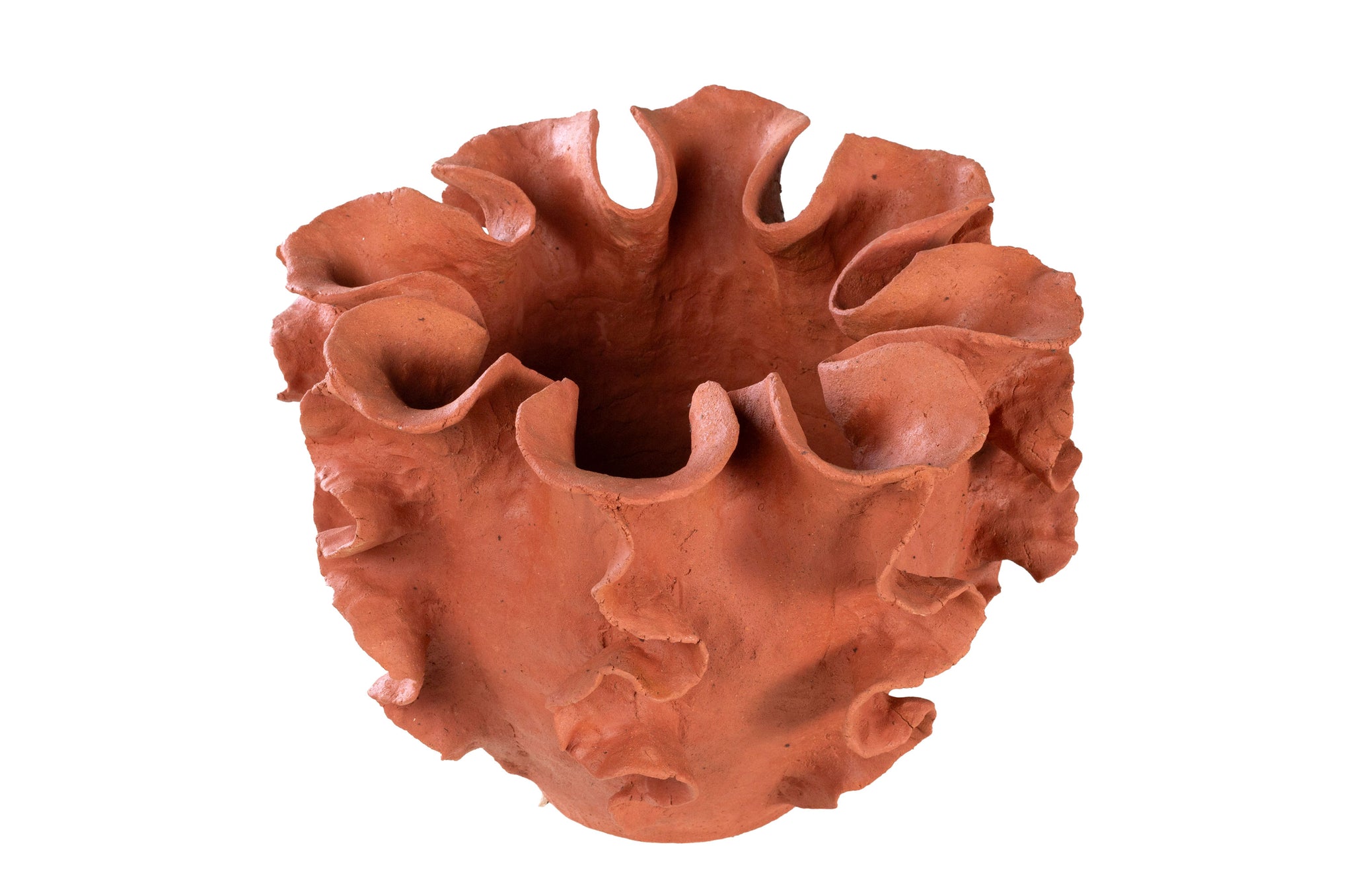 Sculpturale Reef schaal van terracotta in warme aardetint.