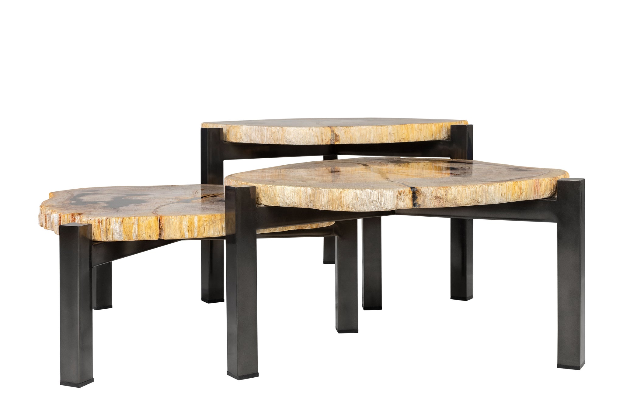 Set van drie salontafels van petrified wood met zwarte metalen onderstellen