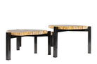 Natuurstenen salontafels van petrified wood met metalen frame