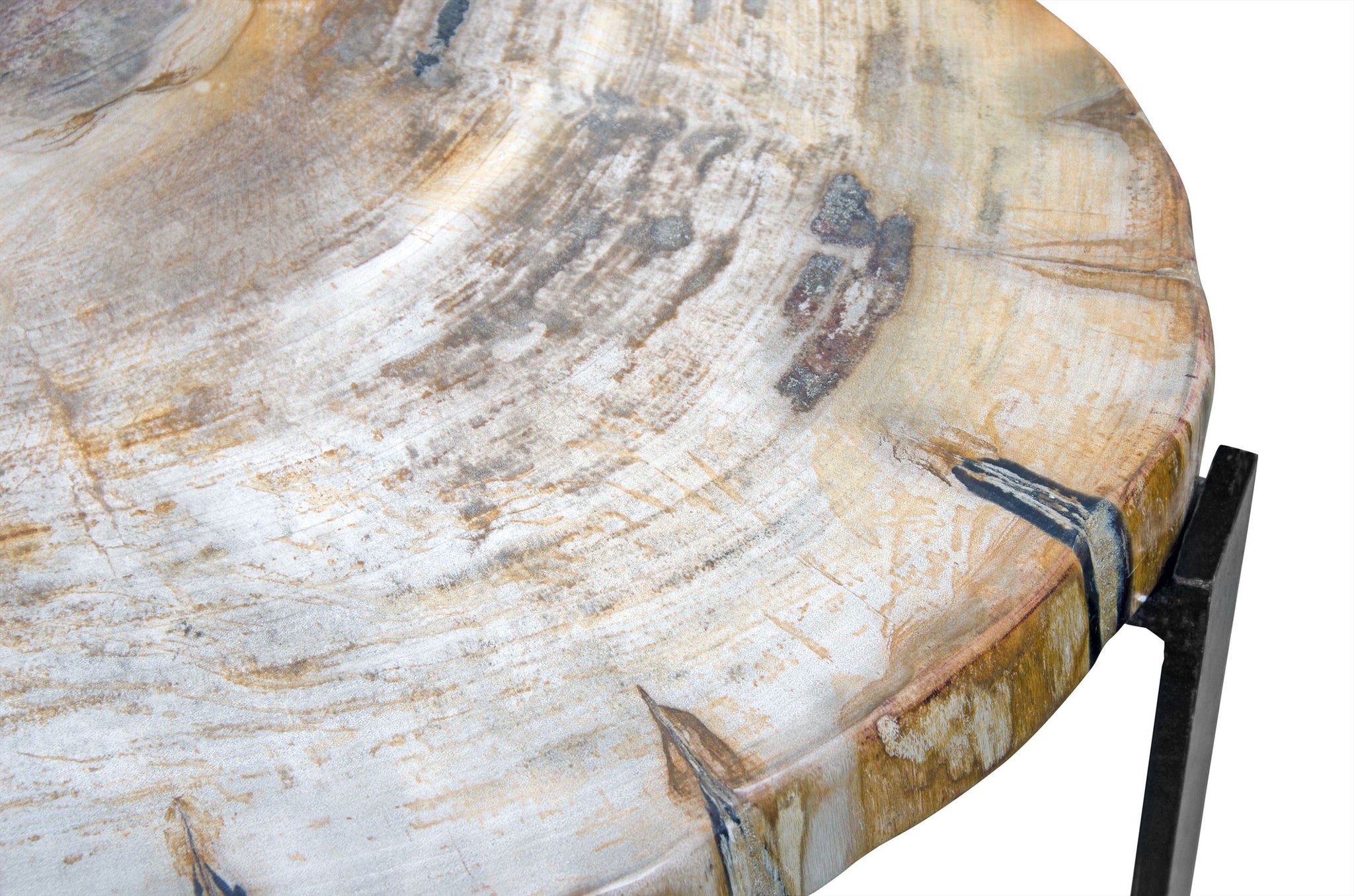 Petrified wood bijzettafel met natuurlijke nerven en donkere metalen poten