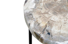 Petrified wood bijzettafel met natuurlijke nerven en donkere metalen poten