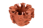 Sculpturale Reef schaal van terracotta in warme aardetint.