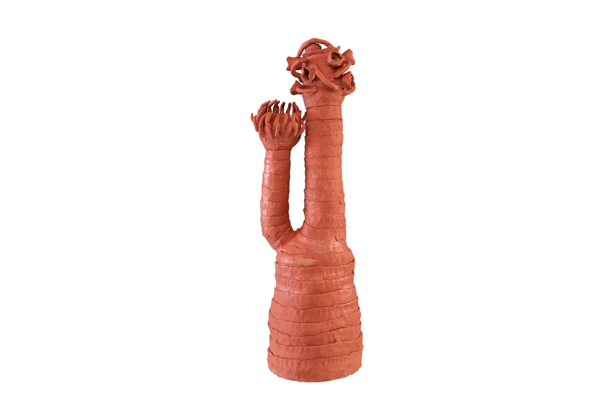 Terracotta sculptuur met organische, koraalachtige vormen in warme roodtint.