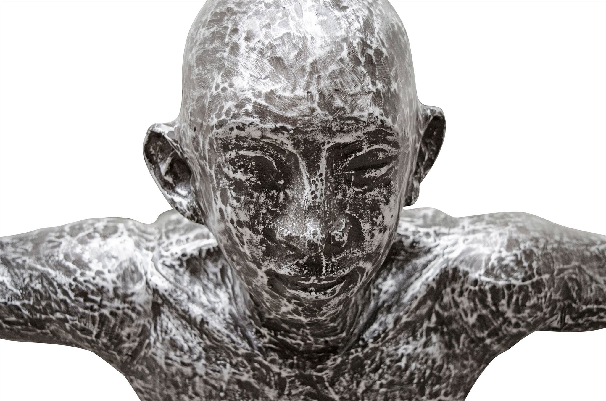 Sculptuur van aluminium met organische beweging en gestroomlijnd silhouet.